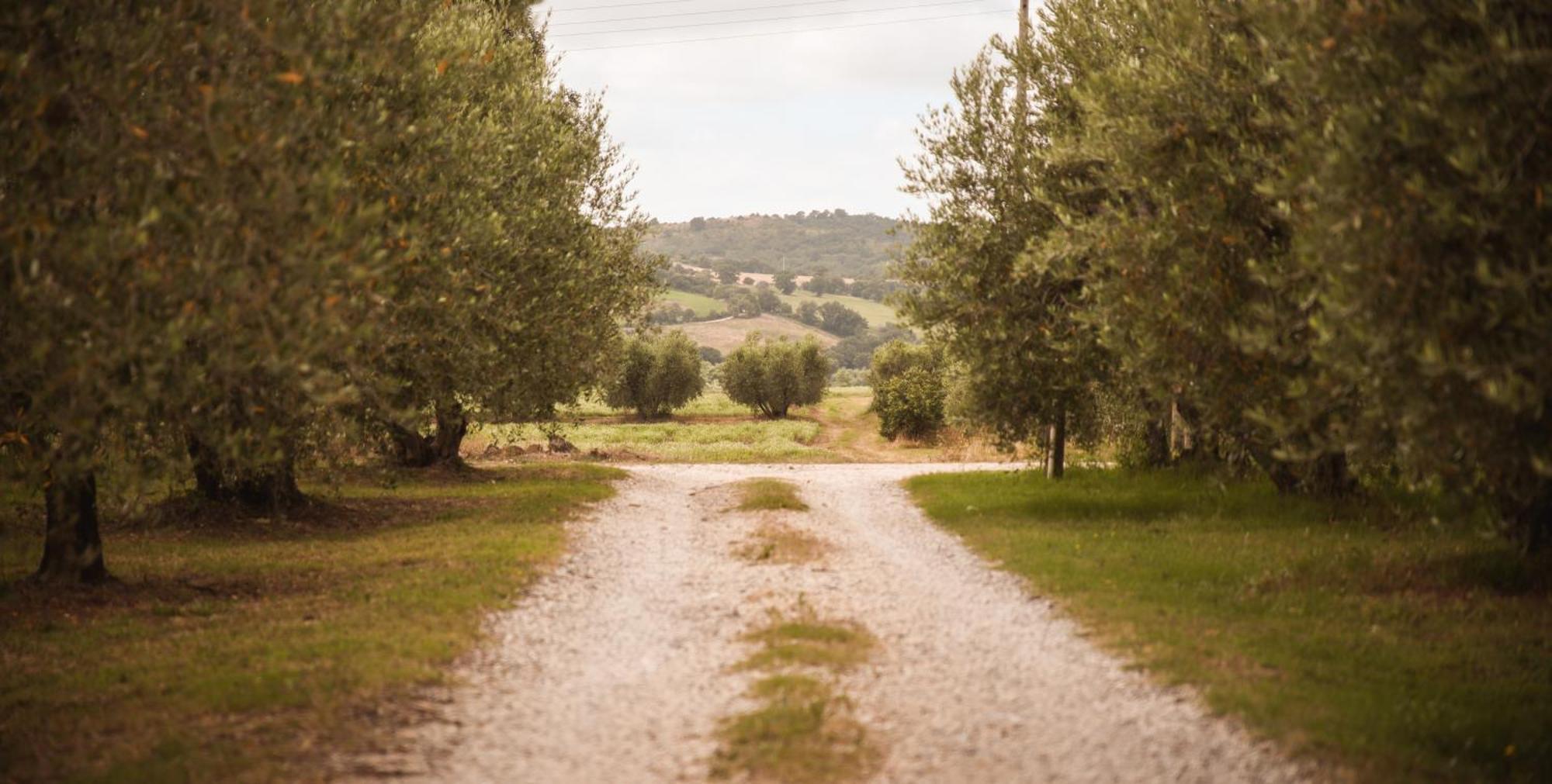 Agriturismo Poggio Alle Calle Saturnia Luaran gambar